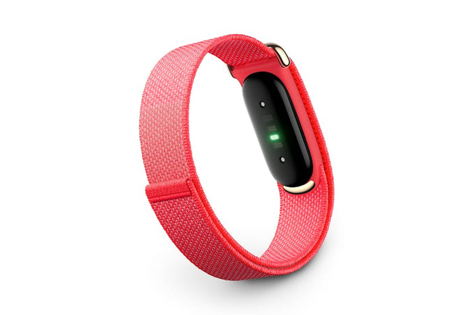 Google Fitbit Air | Berry Champagne Gold - Image 1