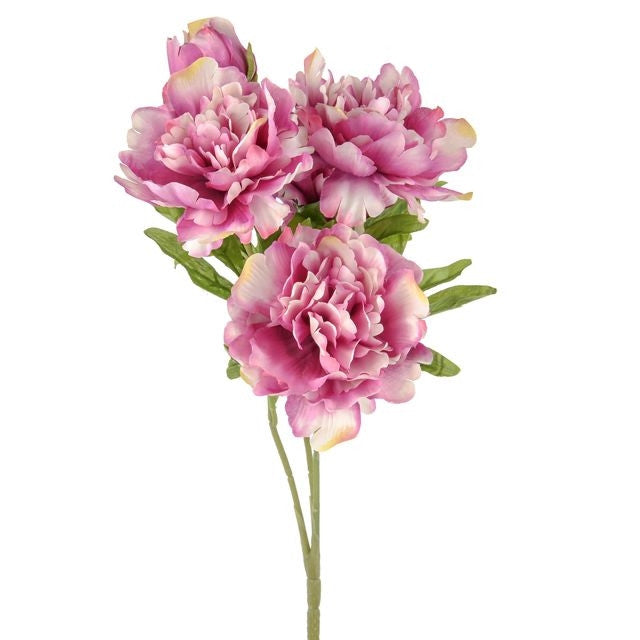 Flora Peony Bush Dark Pink 42cm Keans Claremorris