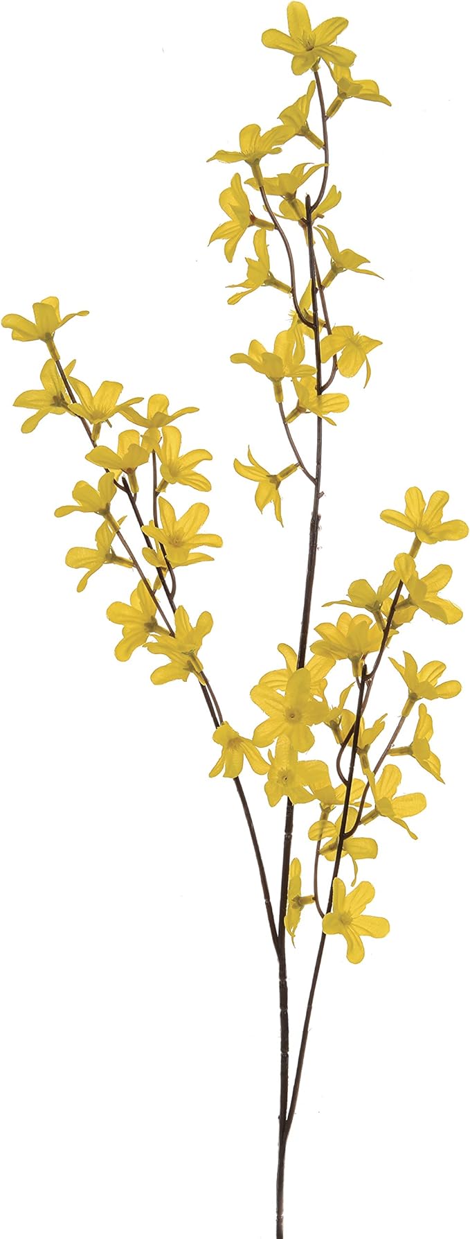 Forsythia Spray Yellow 80cm Keans Claremorris