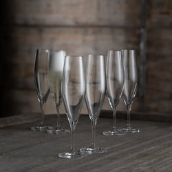 Cheers Champagne / Prosecco Flutes Party Pack - Set of 6