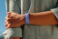 Google Fitbit Air | Lavender & Polished Silver