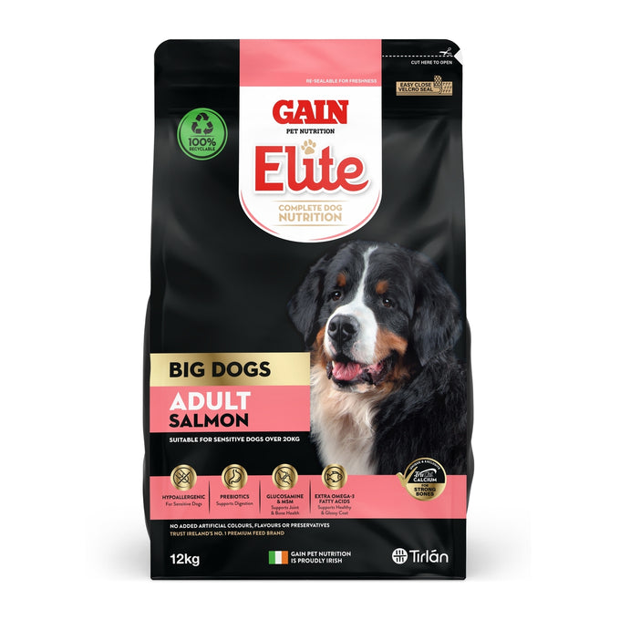 GAIN Elite Big Dogs Adult Salmon 12kg - Image 1