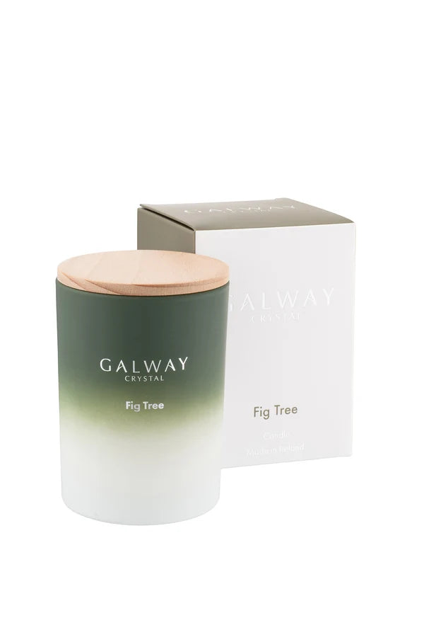 Fig Tree Candle - Image 1