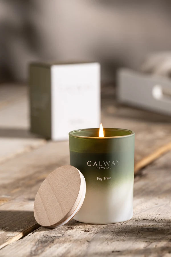 Fig Tree Candle - Image 2
