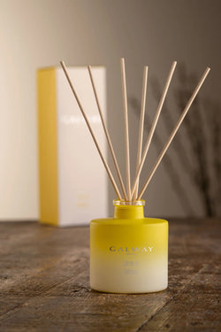 Lime & Vetiver Diffuser Galway