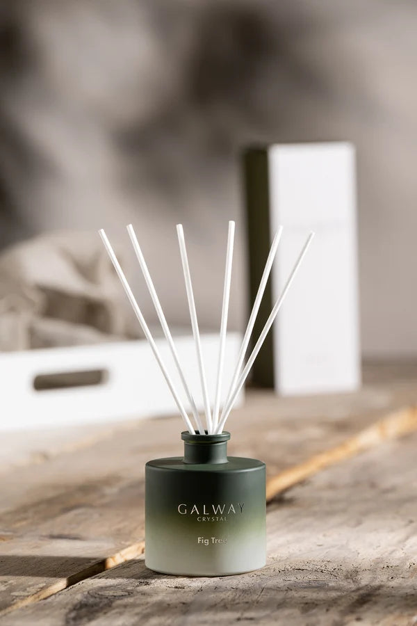 Fig Tree Diffuser - Image 2