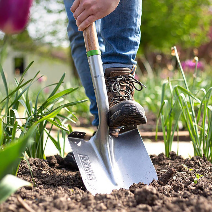 Ames Pointed Shovel D Handle CS 111 cm - Image 2