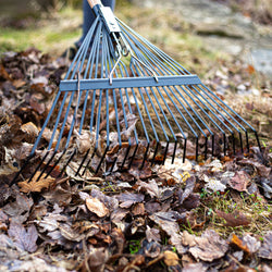 Ames Flat Tine Leaf Rake CS Tools 152 cm