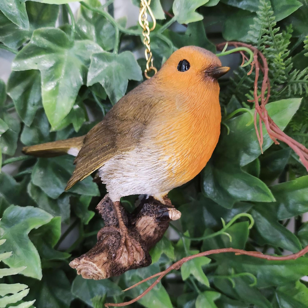 Hanging Robin on Branch F - Image 2