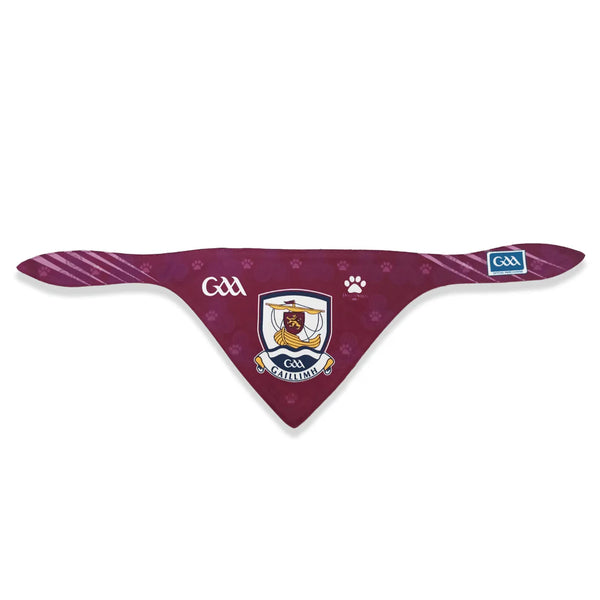 Galway Pet Bandana Keans Claremorris