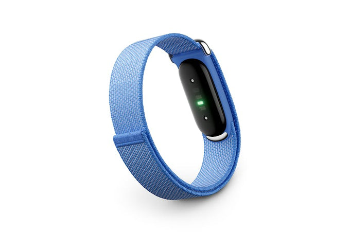 Google Fitbit Air | Lavender & Polished Silver Keans Claremorris