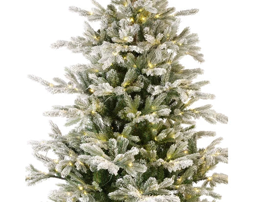 Grandis Fir Snowy Prelit Christmas Tree 7ft | Keans Claremorris