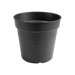 Green Basics Growpot Living Black Keans Claremorris