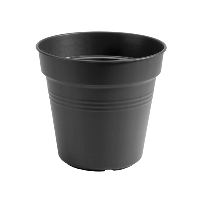 Green Basics Growpot Living Black Keans Claremorris