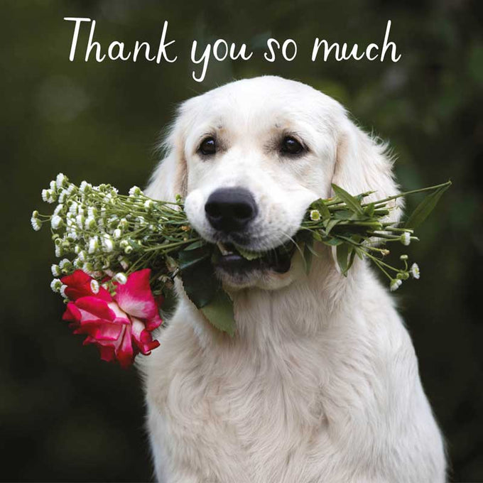 HG Fancy – Thank You So Much Card Keans Claremorris