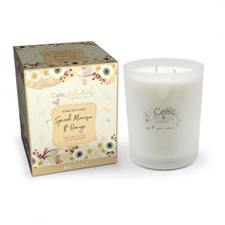 Celtic Candle Double Wick Spiced Mimosa