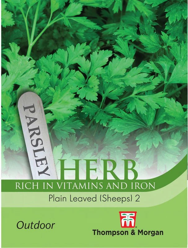 Herb Parsley Plain Leaved (Sheeps) 2 Keans Claremorris