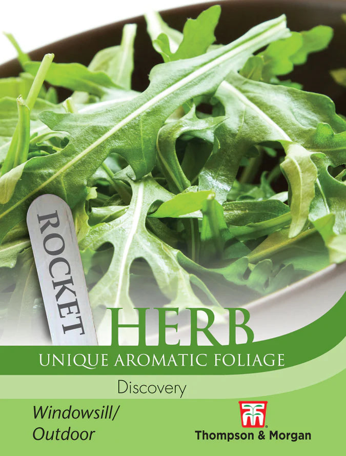 Herb Rocket Discovery Keans Claremorris