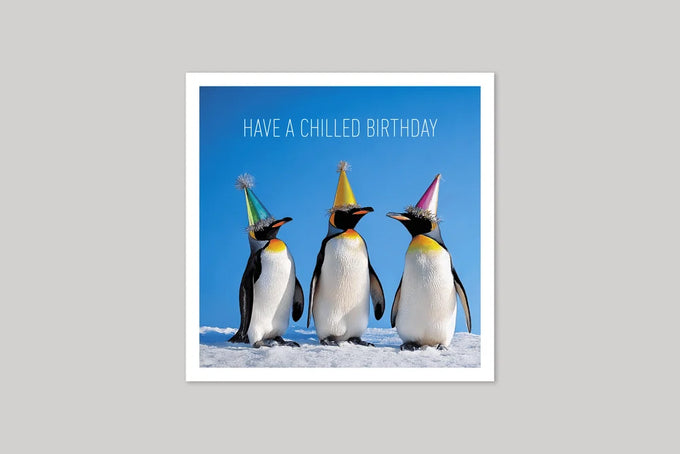 Icon (Coola Coola) – Have A Chilled Birthday Quacky Birthday Card Keans Claremorris