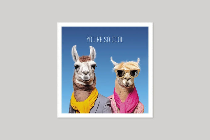 Icon (Coola Coola) – You're So Cool Llamas Card Keans Claremorris