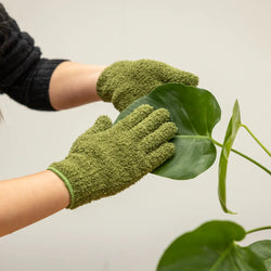 Esschert Dust Removal Gloves for Plants