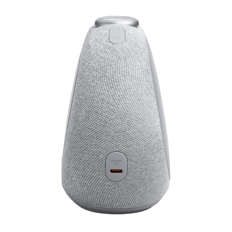 JBL Horizon 3 DAB/FM Bluetooth Radio Speaker Grey | JBLHORIZON3GRYUK - Image 3