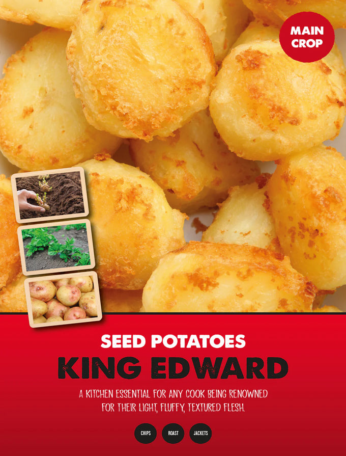 Main Crop King Edward 2 Kg Nets - Image 1