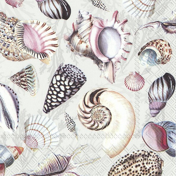 Shells of the Sea lunch napkins, 20-pack, 33x33 cm, eco-friendly, seashell design, perfect for beach parties – Keans