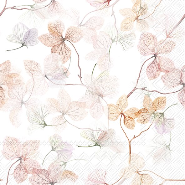 Wesley Nature Lunch Napkins 20 pack, 33x33cm, eco-friendly, biodegradable cellulose, natural design – Keans Claremorris