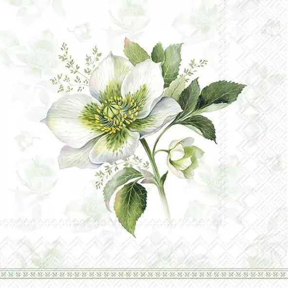 Classic Christmas Rose Green Lunch Napkins - Image 1