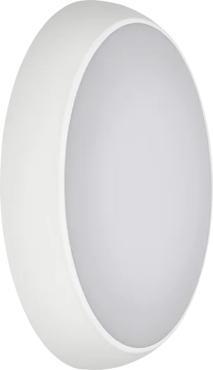White round Andes IP65 bulkhead light with frosted diffuser, side angle view