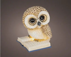 LED Polyresin Owl Decoration – Brown with Warm White Light (24.5cm) Keans Claremorris