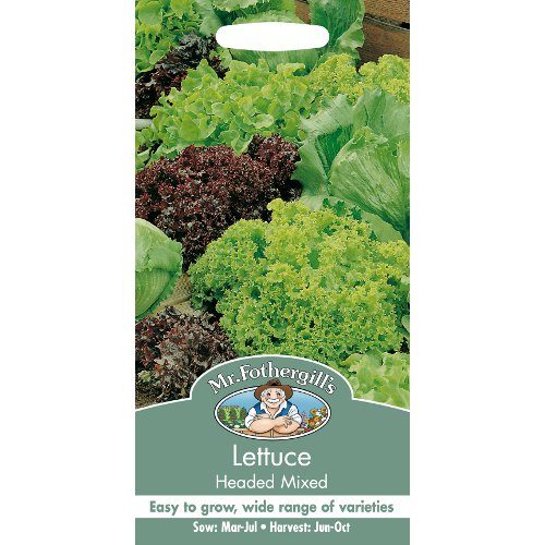 Lettuce Headed Mix - Image 1