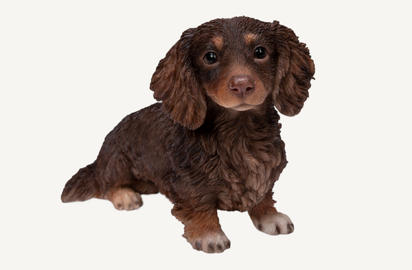 Long Haired Dachsund Choc/Cream - Garden Ornament Keans Claremorris
