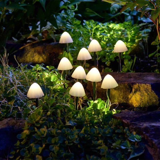 LumiShroom Stake Lights, Set of 10 | Keans Claremorris
