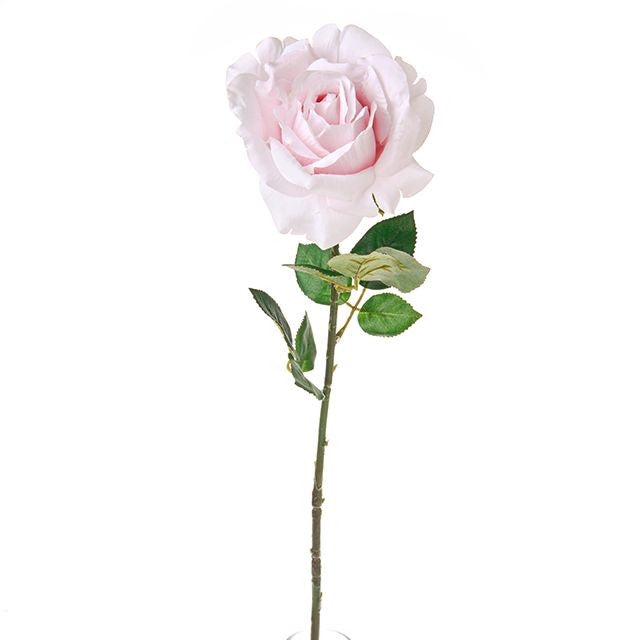 Luna Rose Pink  64cm Keans Claremorris