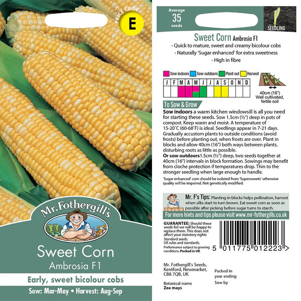 Sweet Corn Ambrosia F1 - Image 1