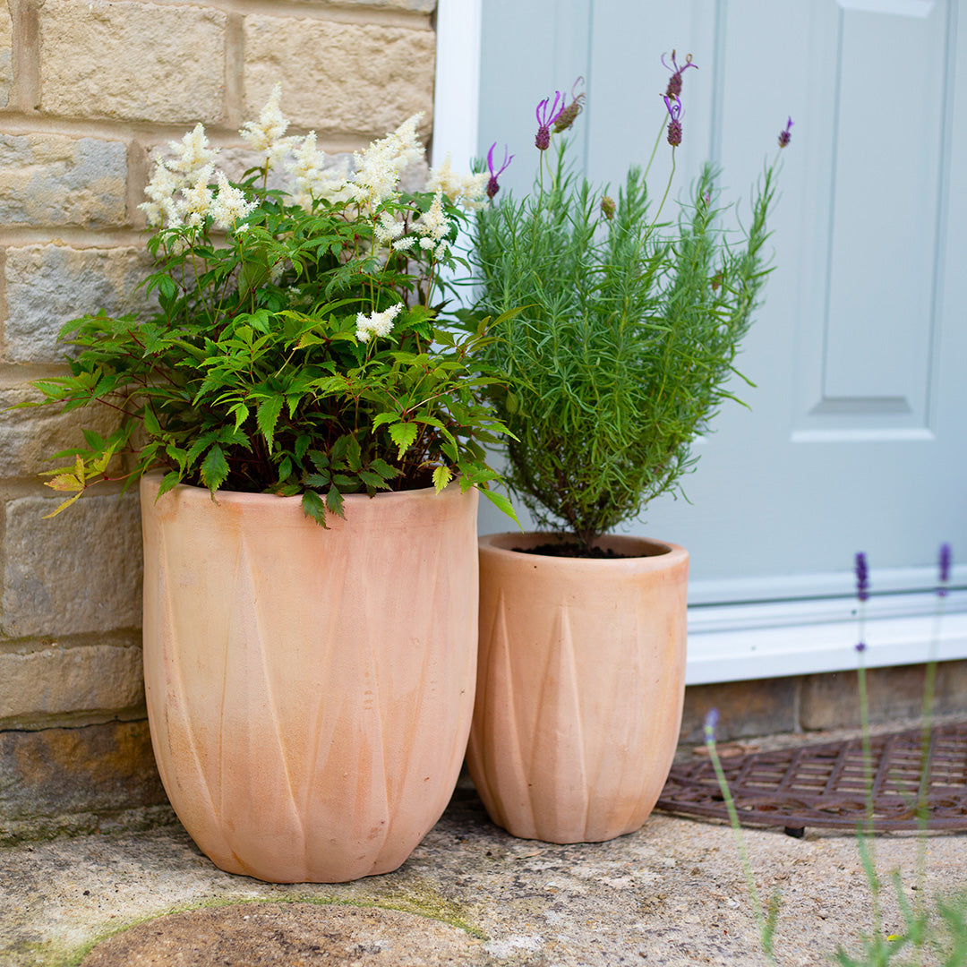 Aloe Egg terracotta planter with a textured surface, shown empty on a white background