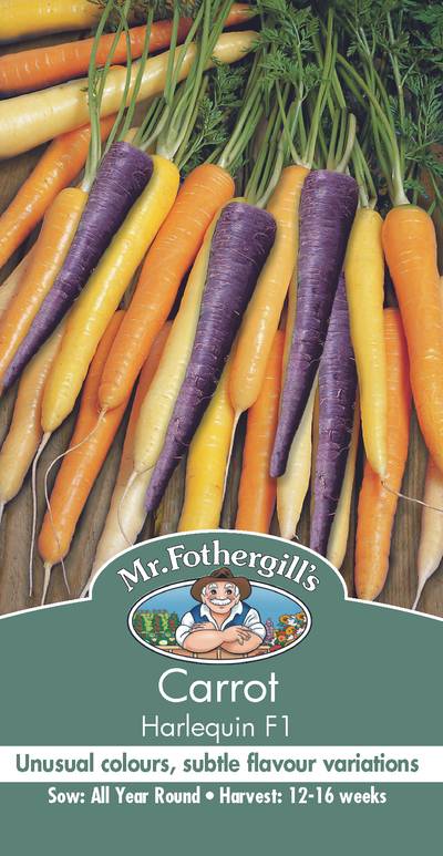 Carrot Harlequin F1 - Image 1