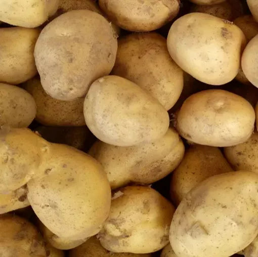 Main Crop Dunbar Standard 2 Kg Nets Keans Claremorris