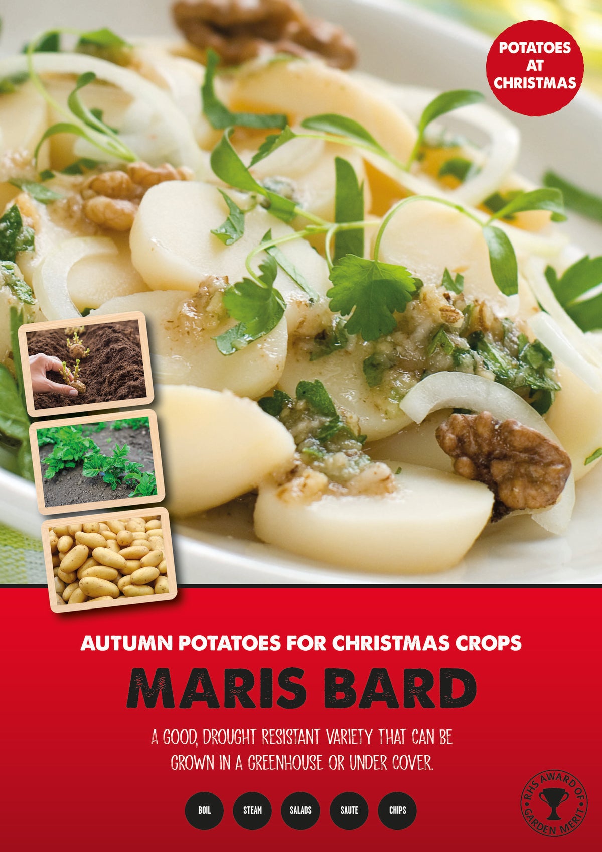 Seed Potato Maris Bard 35-60mm 1kg - Image 1