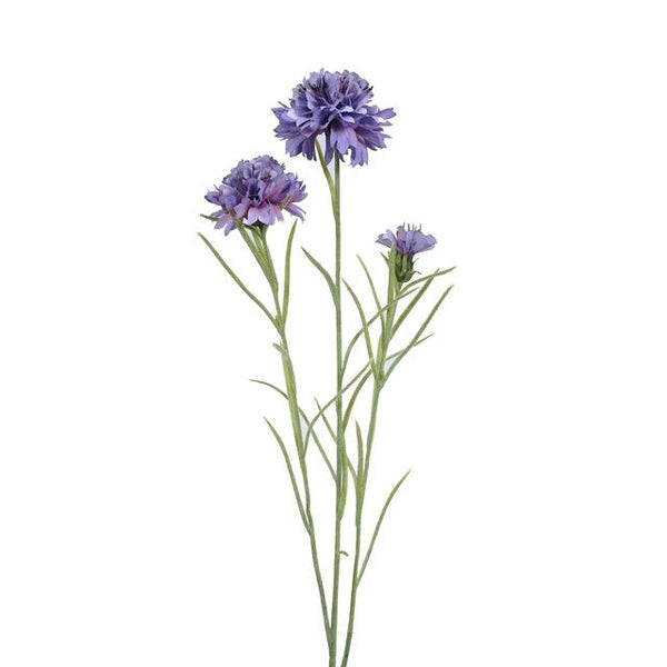 Meadow Cornflower – Purple 56cm Keans Claremorris