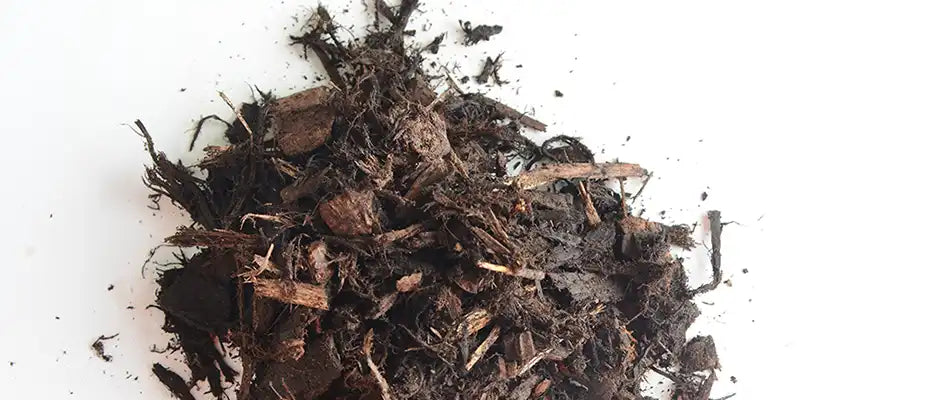 Loose pile of natural brown mini chip bark mulch on a white background, showing texture and size.