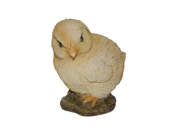 NF Chick F Box of 12 healthy chicks for farming - available at Keans Claremorris