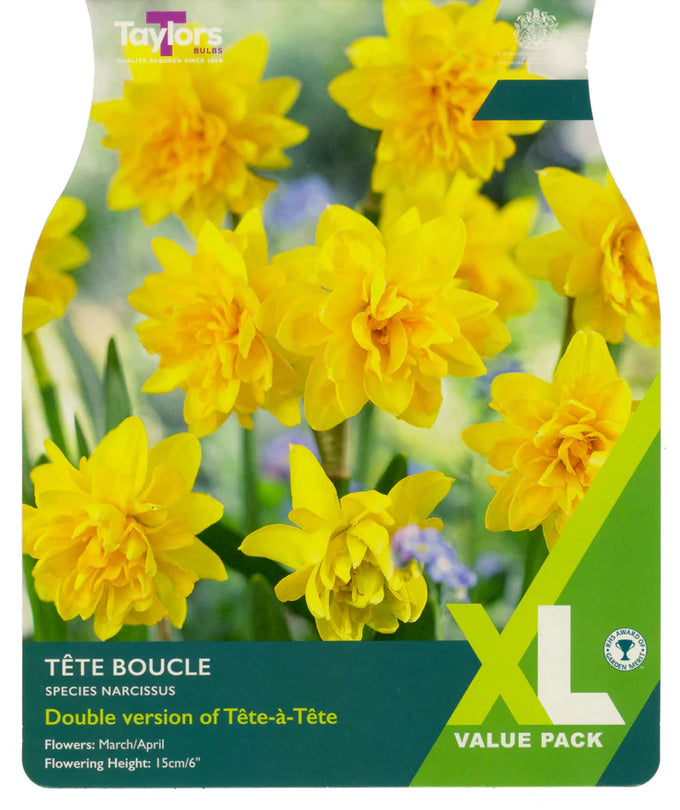 Narcissus ‘Tête Bouclé’ XL Pack x 18 Bulbs Keans Claremorris