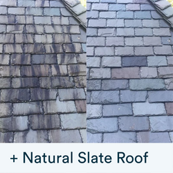 Actiwash Domestic Biocide removing red & green algae, mould, fungi - Keans Claremorris