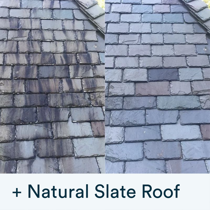 Actiwash Domestic Biocide removing red & green algae, mould, fungi - Keans Claremorris