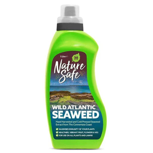 Nature Safe Wild Atlantic Seaweed 1L Bottle Keans Claremorris