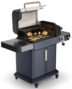 Ninja FlexFlame Outdoor BBQ Gas & 240V System |PG301UKBL