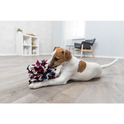 Dog Activity Sniffing Ball for interactive pet play and mental stimulation - Keans Claremorris